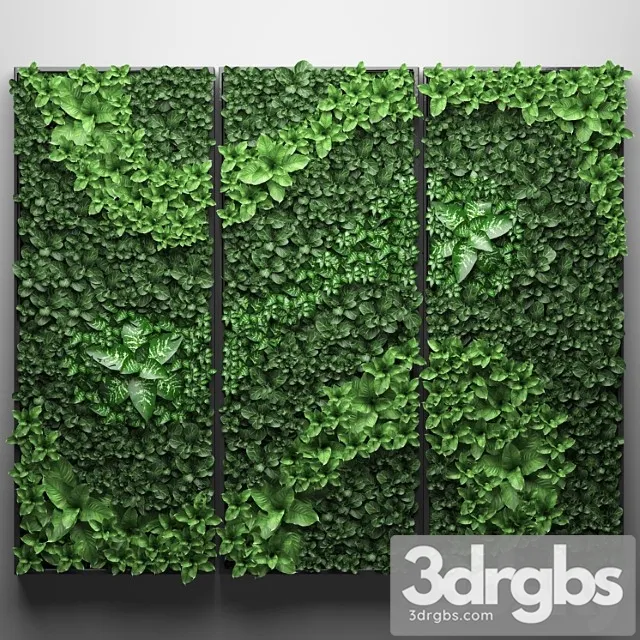Vertical garden 20. landscaping, painting, phytowall, phytomodule, wall decor Vertical garden 20. landscaping, painting, phytowall, phytomodule, wall decor