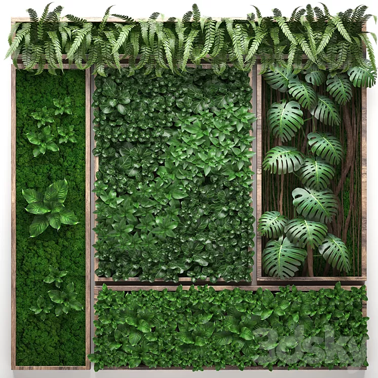 Vertical garden 22. Five separate modules landscaping phytowall phytomodule monstera fern eco design natural decor 3D Model Vertical garden 22. Five separate modules landscaping phytowall phytomodule monstera fern eco design natural decor 3D Model