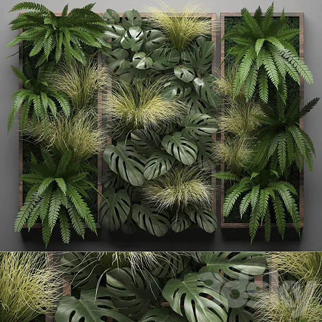 Vertical garden 28. Phytowall picture grass fern monstera wall decor phytomodule vertical garden 3D Model Vertical garden 28. Phytowall picture grass fern monstera wall decor phytomodule vertical garden 3D Model