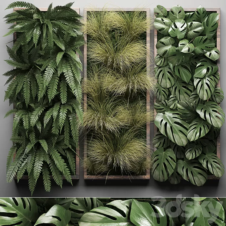 Vertical garden 29. Phytowall picture grass fern monstera wall decor phytomodule vertical garden 3D Model Vertical garden 29. Phytowall picture grass fern monstera wall decor phytomodule vertical garden 3D Model