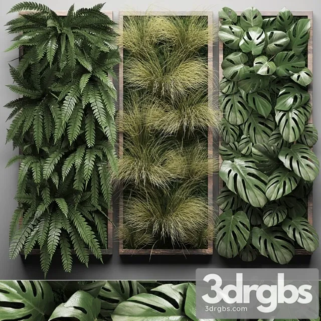 Vertical garden 29. phytowall, picture, grass, fern, monstera, wall decor, phytomodule, vertical garden Vertical garden 29. phytowall, picture, grass, fern, monstera, wall decor, phytomodule, vertical garden