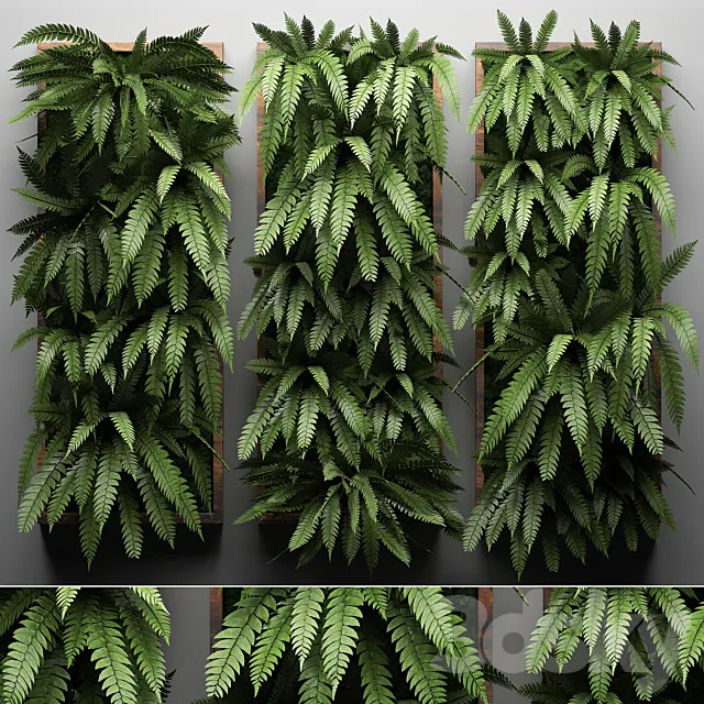 Vertical garden 30. fern picture vertical garden phytowall wall decor phytomodule eco design natural materials 3D Model Vertical garden 30. fern picture vertical garden phytowall wall decor phytomodule eco design natural materials 3D Model