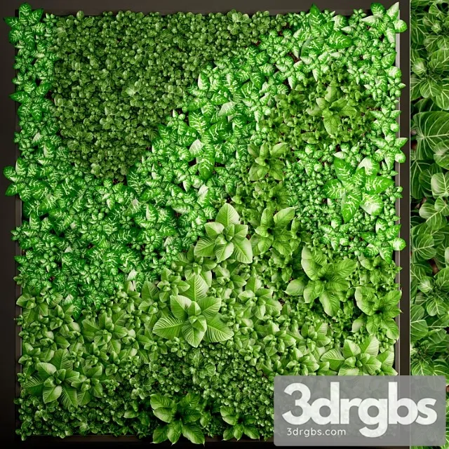Vertical garden 6. vertical garden, phytowall, phytomodule, landscaping, green painting, bush, wall decor, eco design Vertical garden 6. vertical garden, phytowall, phytomodule, landscaping, green painting, bush, wall decor, eco design