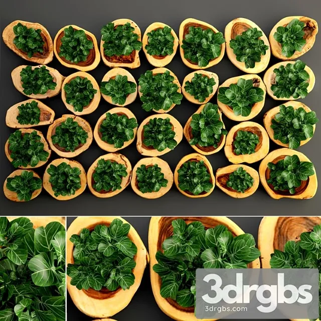 Vertical garden 8. vertical garden, phyto wall, eco, eco-design, wall decor, green picture, panel, wooden cut, timber, phyto module Vertical garden 8. vertical garden, phyto wall, eco, eco-design, wall decor, green picture, panel, wooden cut, timber, phyto module