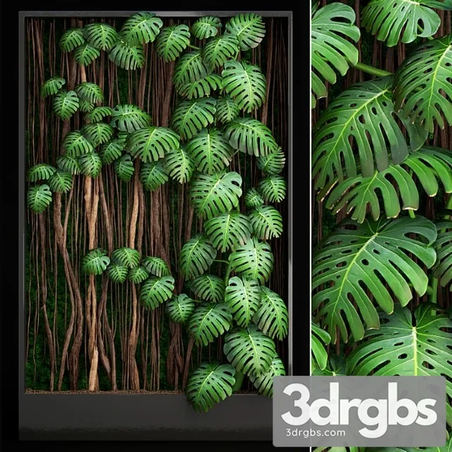 Vertical Garden 9 Monstera Fitostena Fitomodul Eko Dizain Vertikalnyi Sad Dekorativnyi 3D Model Download