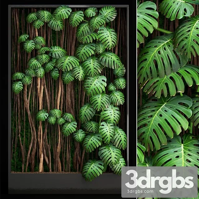 Vertical garden 9. monstera, phytowall, phytomodule, eco design, vertical garden, decorative Vertical garden 9. monstera, phytowall, phytomodule, eco design, vertical garden, decorative