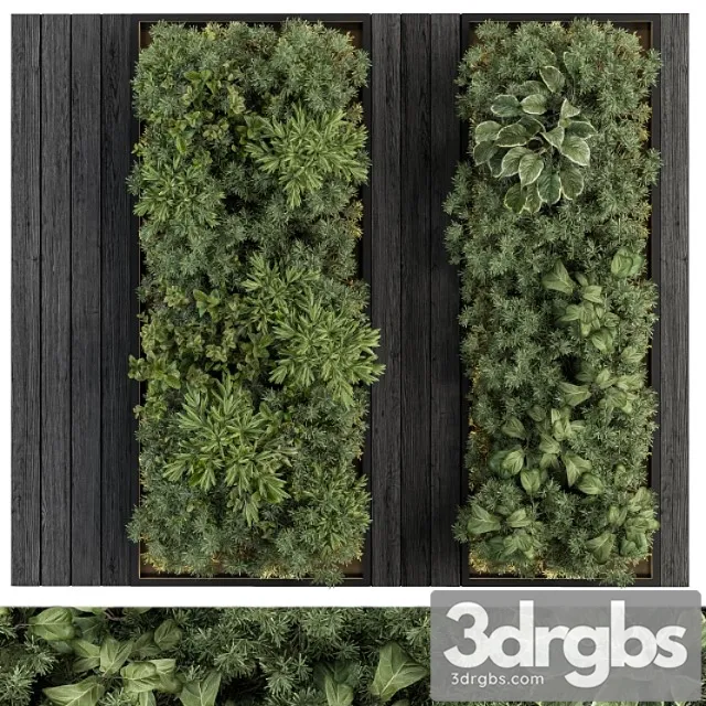 Vertical garden black frame – wall decor 38 Vertical garden black frame – wall decor 38