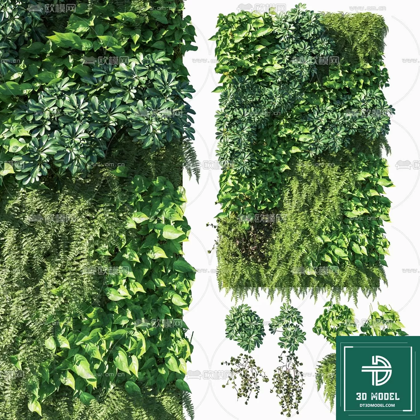 VERTICAL GARDEN – FITOWALL PLANT 3D MODEL – 011