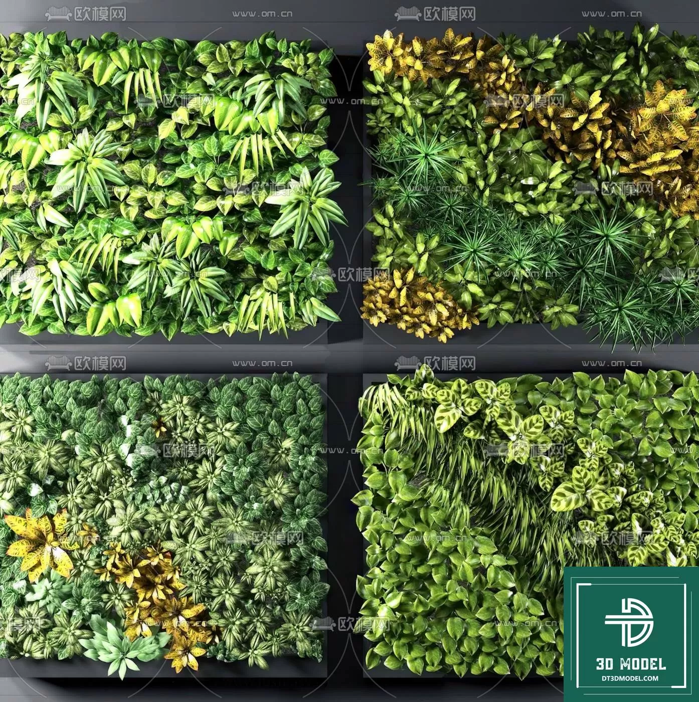 VERTICAL GARDEN – FITOWALL PLANT 3D MODEL – 017