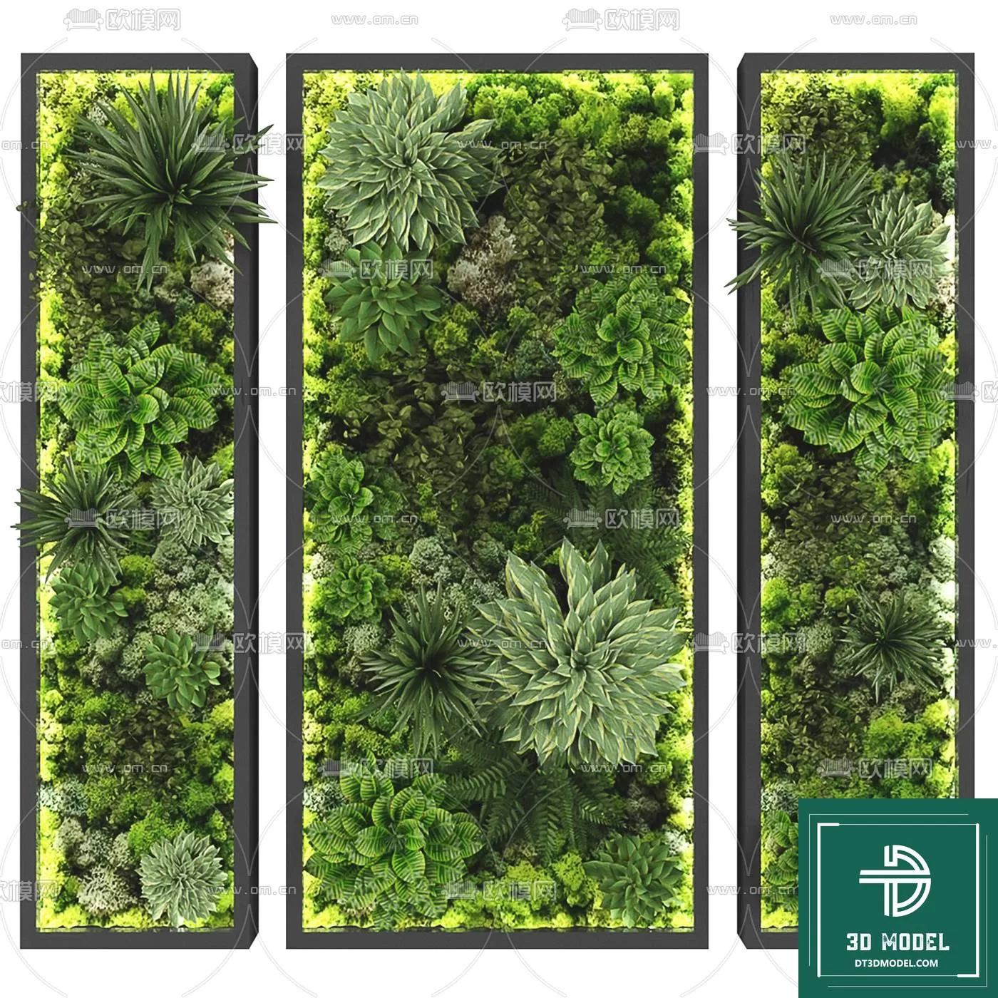 VERTICAL GARDEN – FITOWALL PLANT 3D MODEL – 022