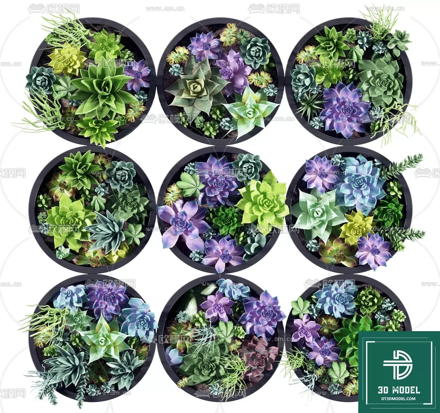 VERTICAL GARDEN – FITOWALL PLANT 3D MODEL – 025