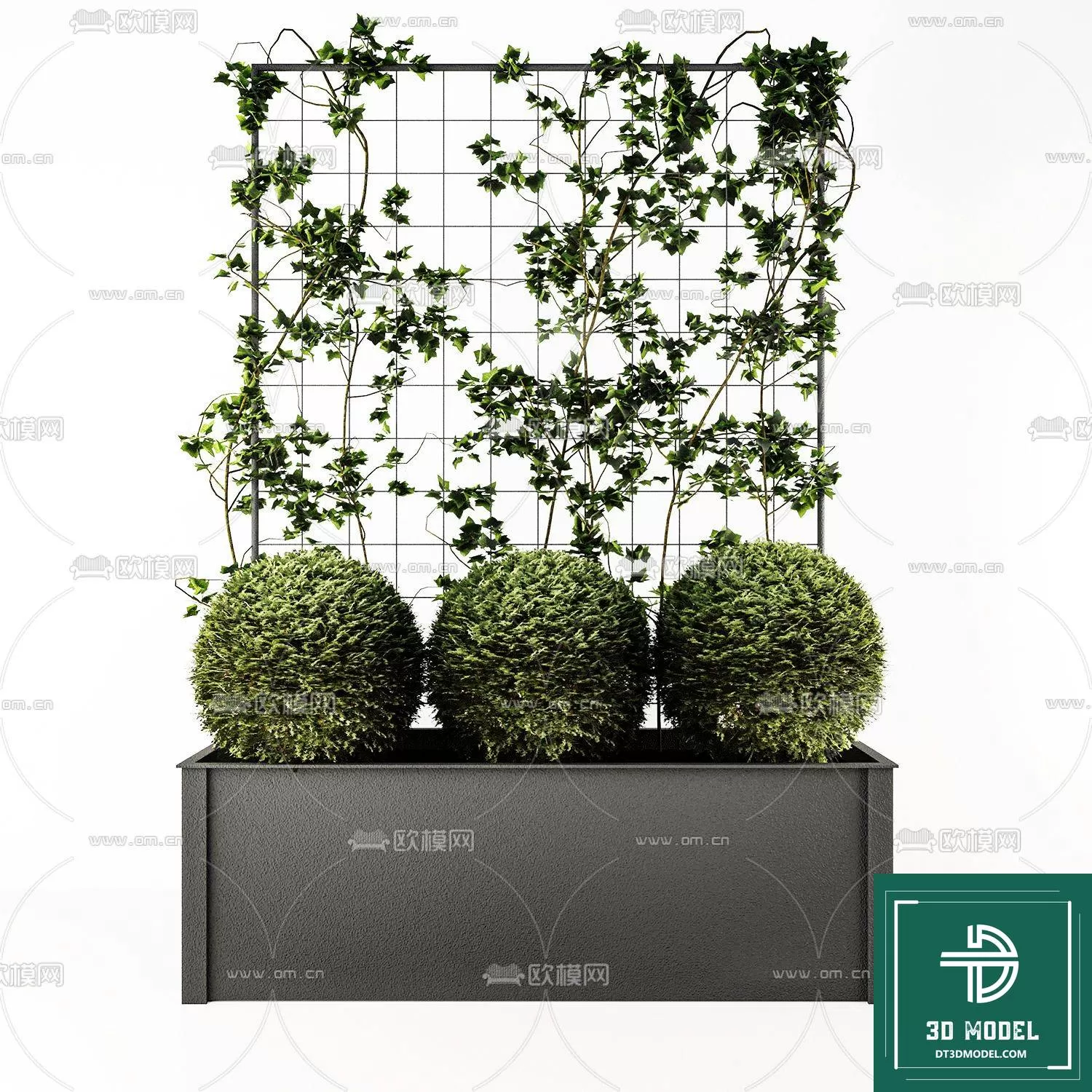 VERTICAL GARDEN – FITOWALL PLANT 3D MODEL – 057