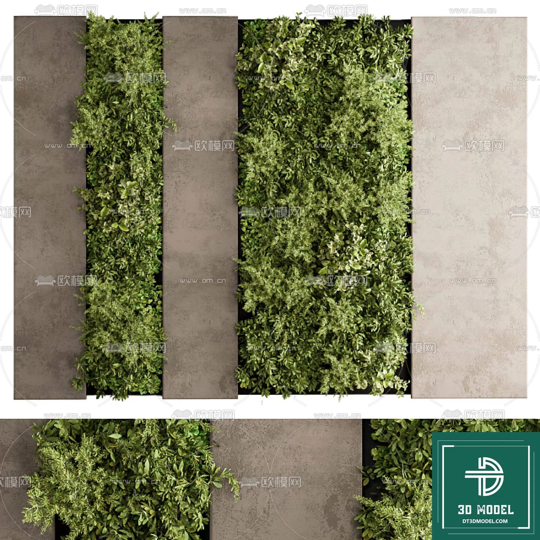 VERTICAL GARDEN – FITOWALL PLANT 3D MODEL – 070