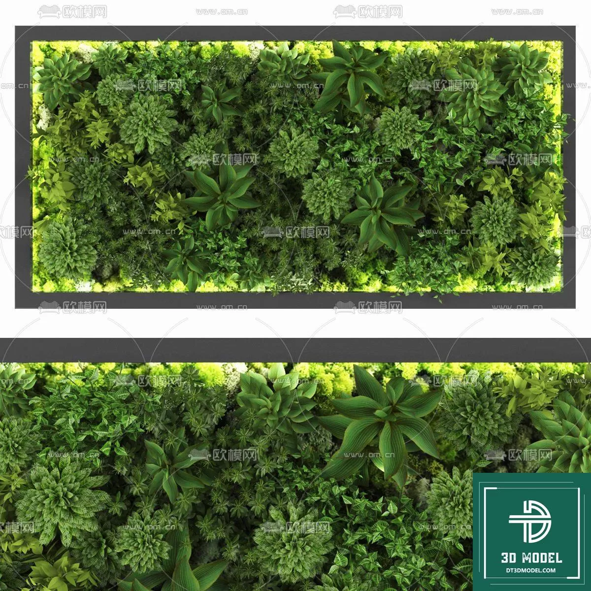VERTICAL GARDEN – FITOWALL PLANT 3D MODEL – 086