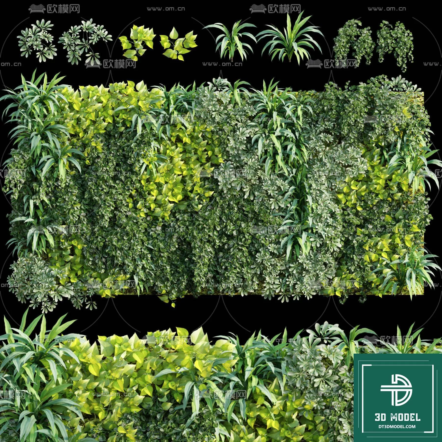VERTICAL GARDEN – FITOWALL PLANT 3D MODEL – 133 VERTICAL GARDEN – FITOWALL PLANT 3D MODEL – 133