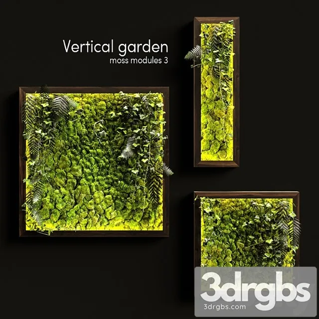 Vertical garden. moss modules 3 Vertical garden. moss modules 3