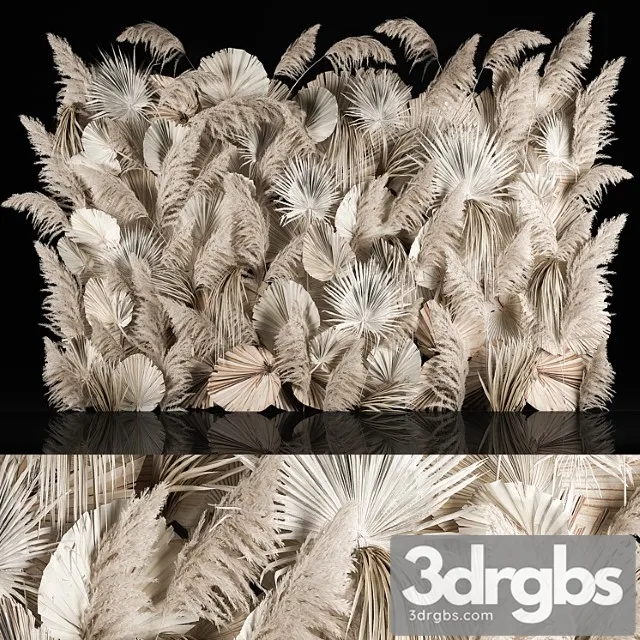 Vertical Garden Of Dried Flowers Pampas Grass Dry Palm Branches Cortaderia Bouquet And Dry Reeds 283 3D Model Download