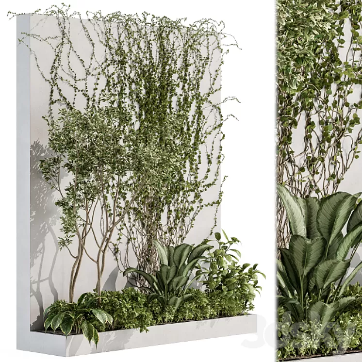 Vertical Garden Outdoor – Wall Decor 41 3D Model Free Download Vertical Garden Outdoor – Wall Decor 41 3D Model Free Download