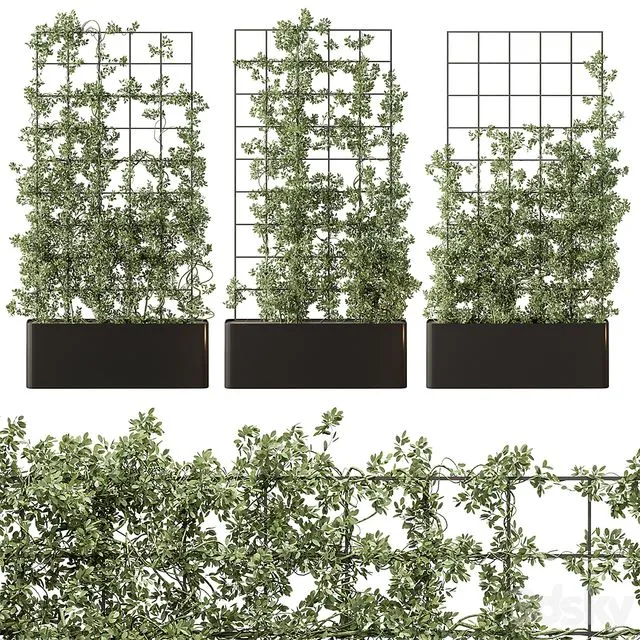 Vertical Garden Partiton – Set 101 3D Model