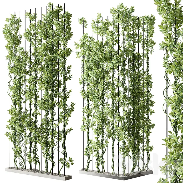 Vertical Garden Partiton – Set 111 3D Model