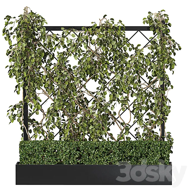 Vertical Garden – Planter with trellis 3D Model Vertical Garden – Planter with trellis 3D Model