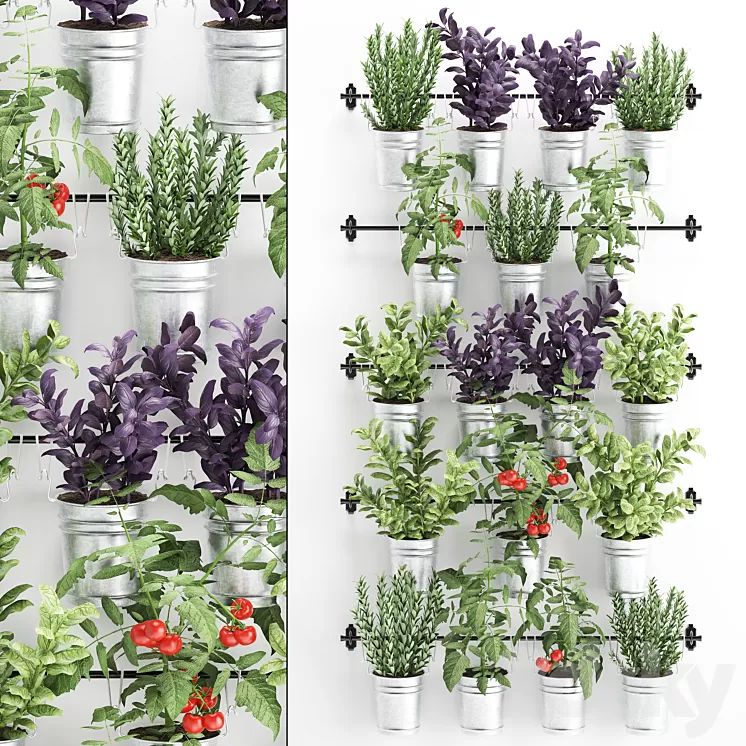 Vertical gardening. 33. Kitchen garden vegetable garden vegetables herbs tomatoes rosemary basil railing phytowall phytomodule 3D Model Vertical gardening. 33. Kitchen garden vegetable garden vegetables herbs tomatoes rosemary basil railing phytowall phytomodule 3D Model