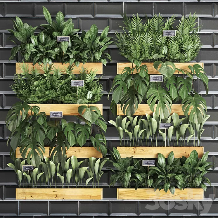 Vertical gardening. 40. Shelf with flowers monstera areca palm tree indoor plants black tiles phytowall phytomodule eco design vertical garden 3D Model Vertical gardening. 40. Shelf with flowers monstera areca palm tree indoor plants black tiles phytowall phytomodule eco design vertical garden 3D Model