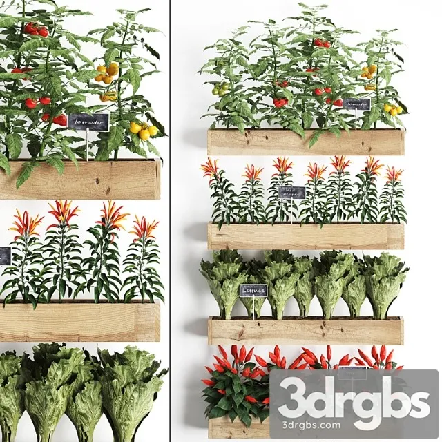 Vertical Gardening 45 Kitchen Garden Kitchen Garden Vegetables Herbs Peppers Tomatoes Tomatoes Lettuce Phytomodule Phytowall Eco Design Natural Decor Vegetable Garden 3D Model Download