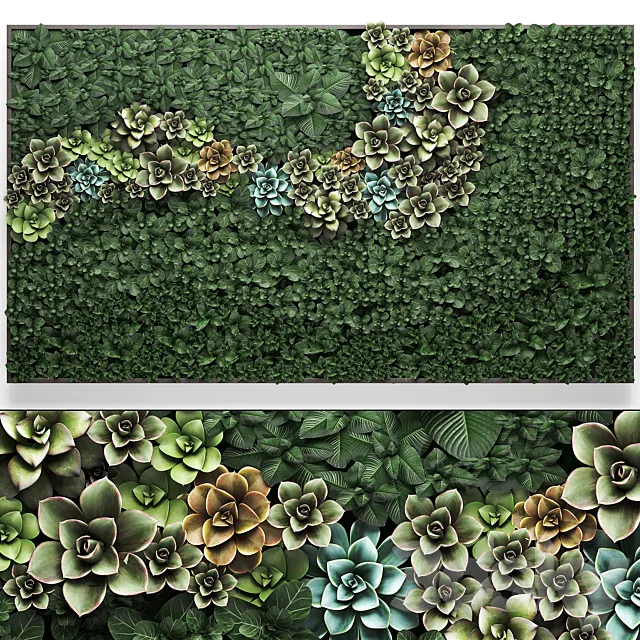 Vertical gardening a garden of plants in a composition of succulents. Echeveria. phytosten. phytomodule. painting. Set 52. 3DModel Vertical gardening a garden of plants in a composition of succulents. Echeveria. phytosten. phytomodule. painting. Set 52. 3DModel