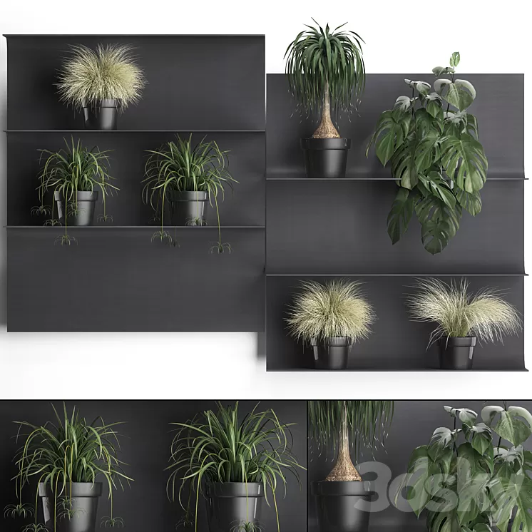Vertical gardening. fifty Black metal shelf shelf with flowers loft monstera grass Chlorophytum dracaena 3D Model
