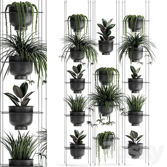 Vertical gardening home garden flower shelf with Chlorophytum Ficus Rowley’s Krestovnik phytostena phytomodule. Set 61 3D Model Vertical gardening home garden flower shelf with Chlorophytum Ficus Rowley’s Krestovnik phytostena phytomodule. Set 61 3D Model