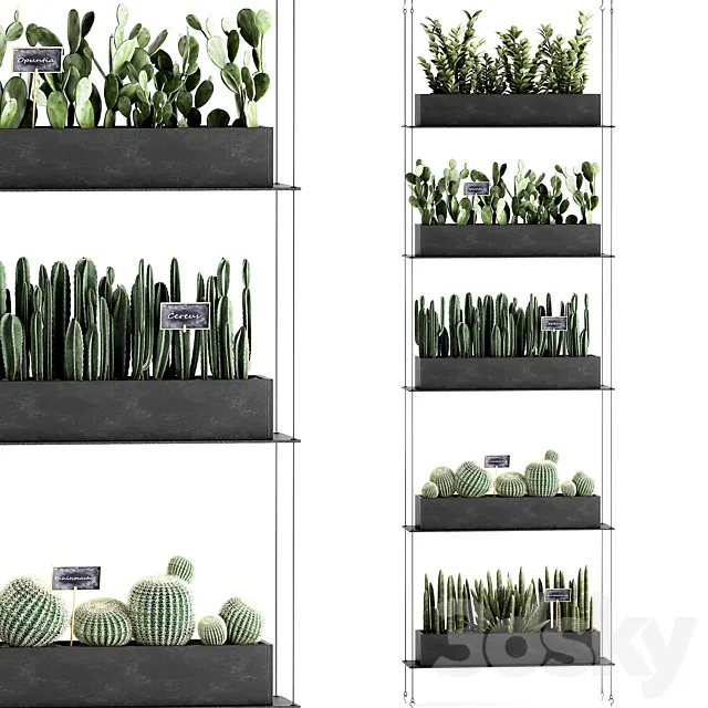 Vertical gardening home garden flower shelf with prickly pear cacti Cereus phytostena phytomodule. Set 66 3D Model Vertical gardening home garden flower shelf with prickly pear cacti Cereus phytostena phytomodule. Set 66 3D Model