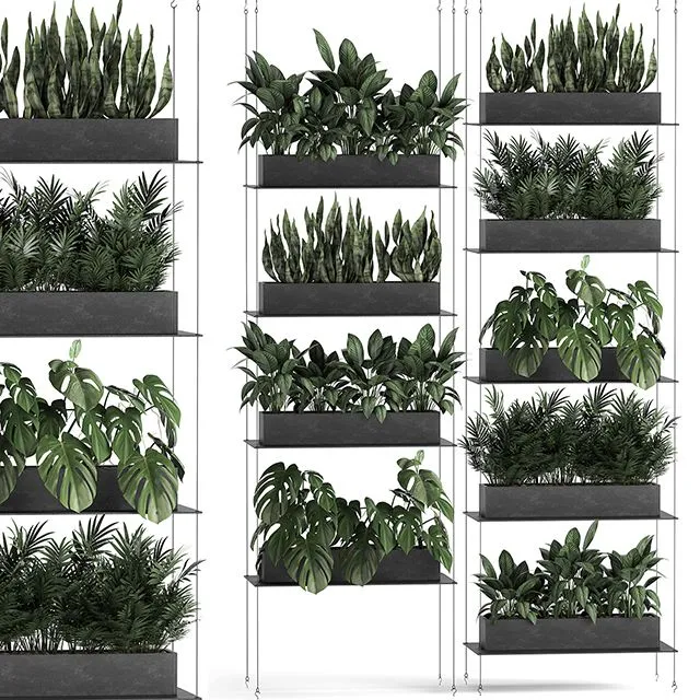 Vertical gardening of the home garden on a black flower shelf with a Monstera a phytosten a phytomodule. Set of 64 3D Model Vertical gardening of the home garden on a black flower shelf with a Monstera a phytosten a phytomodule. Set of 64 3D Model