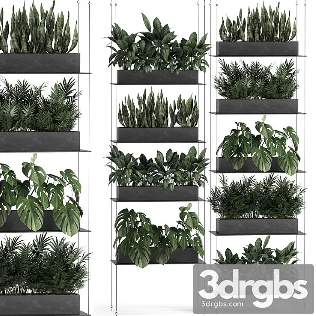 Vertical gardening of the home garden on a black flower shelf with a monstera, a phytosten, a phytomodule. set of 64 Vertical gardening of the home garden on a black flower shelf with a monstera, a phytosten, a phytomodule. set of 64