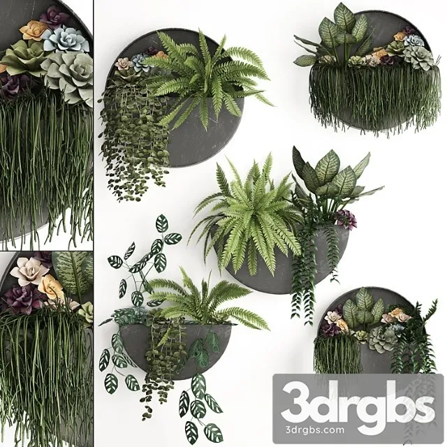 Vertical Greening 56 Garden Wall Decor Fern Succulents Black Metallic Polka Flowers Loft Hanging 3D Model Download Vertical Greening 56 Garden Wall Decor Fern Succulents Black Metallic Polka Flowers Loft Hanging 3D Model Download