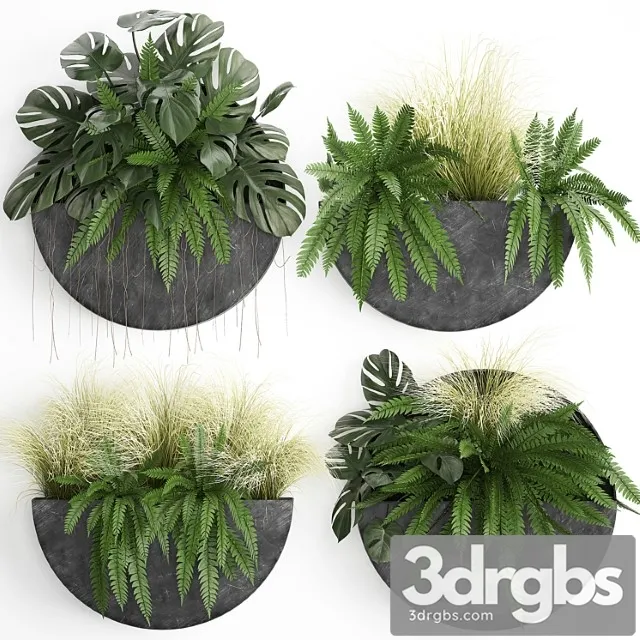 Vertical landscaping for the wall with a black metal shelf with flowers, garden, fern, monstera, grass. set 57 Vertical landscaping for the wall with a black metal shelf with flowers, garden, fern, monstera, grass. set 57