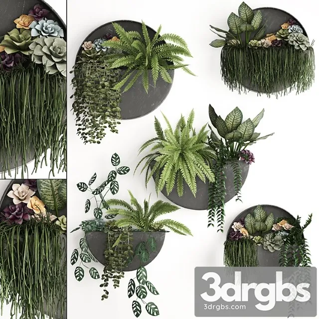Vertical landscaping for the wall with a black metal shelf with garden, succulents, hanging plants, ferns. set 56 Vertical landscaping for the wall with a black metal shelf with garden, succulents, hanging plants, ferns. set 56