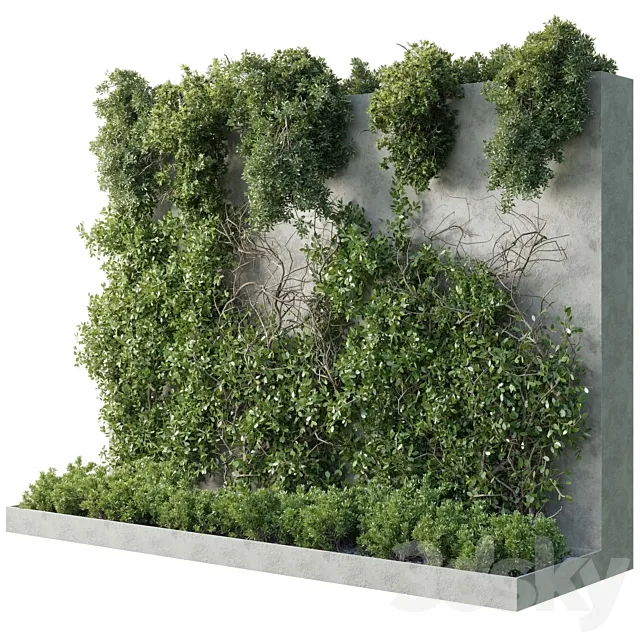 Vertical Wall Garden – Ivy partition – Outdoor garden plant 216 3D Model