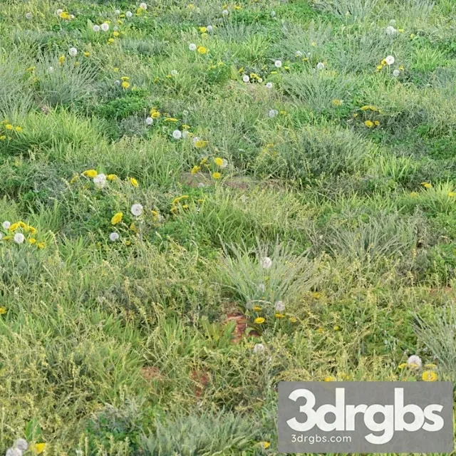 Vesenne Letniaia Trava 3D Model Download