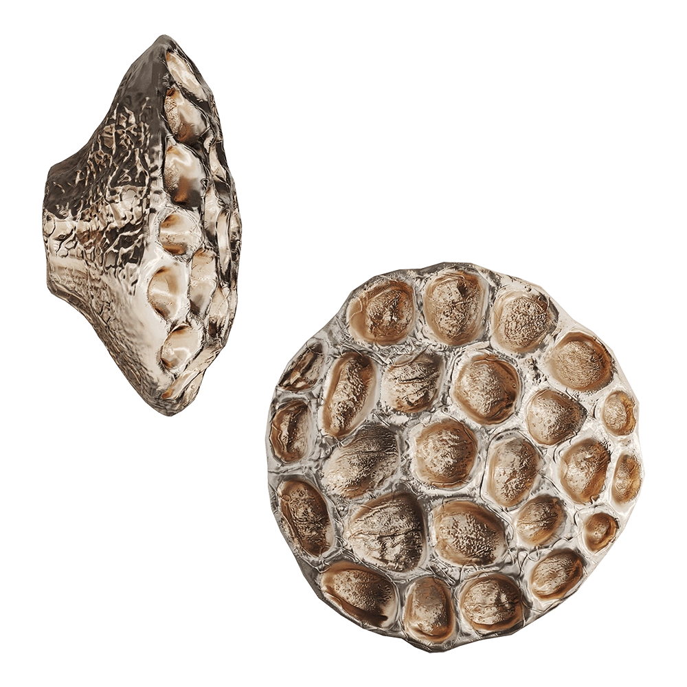 Vetvi – Earth 3D Model Vetvi – Earth 3D Model