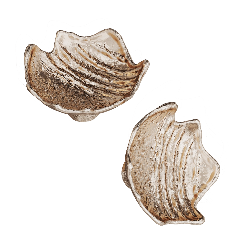 Vetvi – Grib 3D Model