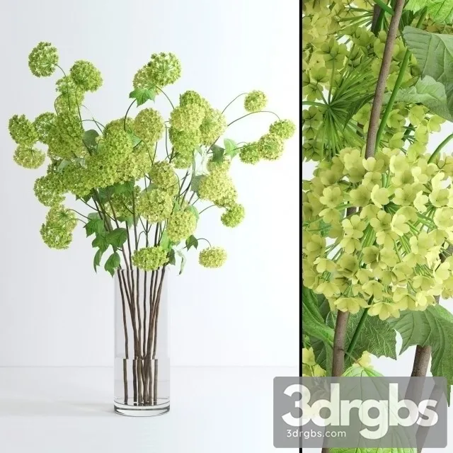 Viburnum Bouquet 3D Model Download Viburnum Bouquet 3D Model Download