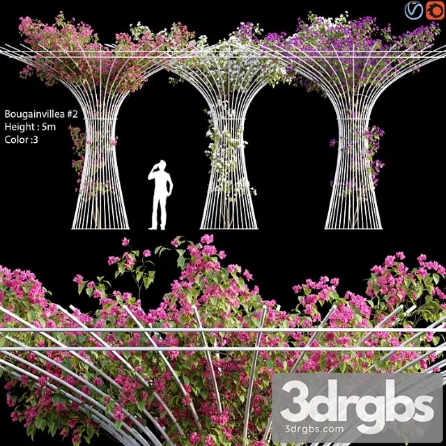 Vines  3D Model Download