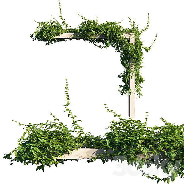 Vines on Wall 01 3D Model