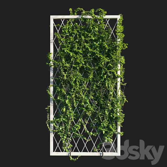 Vines on wall 3D Model