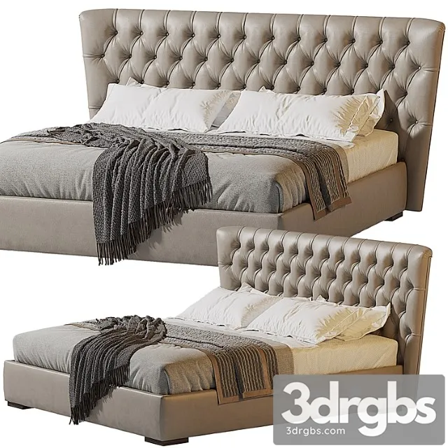 Violet bodema 2 3D Model Download