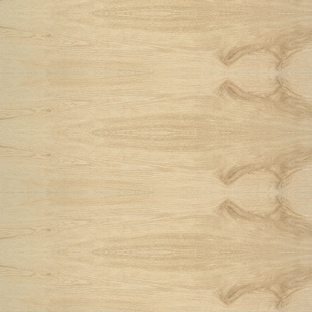 Vitacer – Lightwood Honey 3D Model Vitacer – Lightwood Honey 3D Model