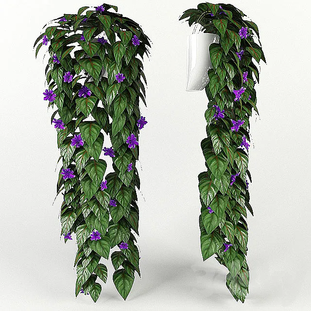 vjun 3D Model vjun 3D Model