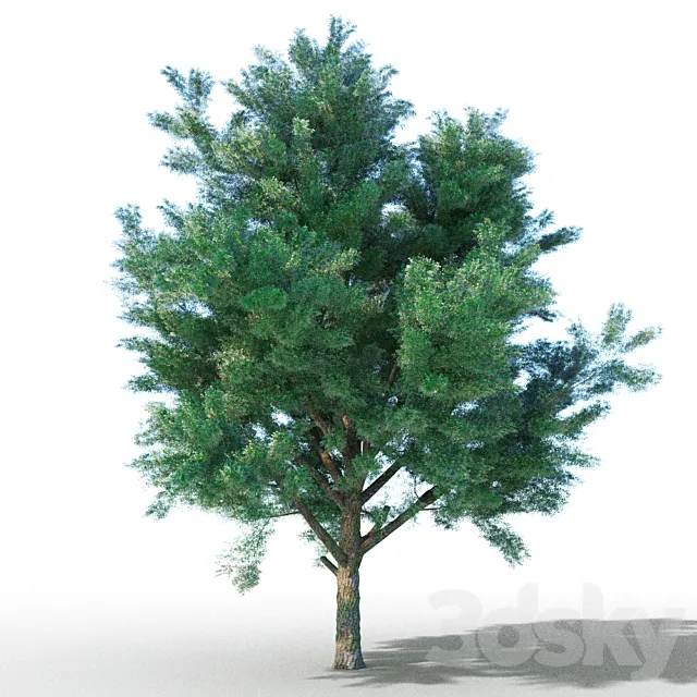 vysokopoligonalnye tree 3D Model vysokopoligonalnye tree 3D Model