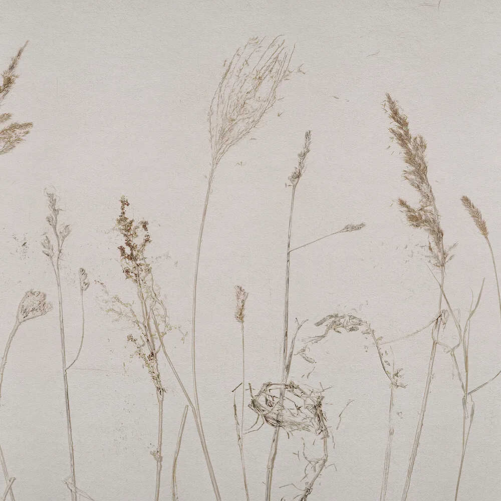 Wall Art – Wallpaper Campo di Avena 3D Model Wall Art – Wallpaper Campo di Avena 3D Model